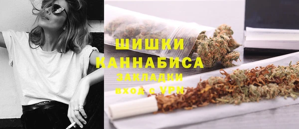 spice Дмитриев