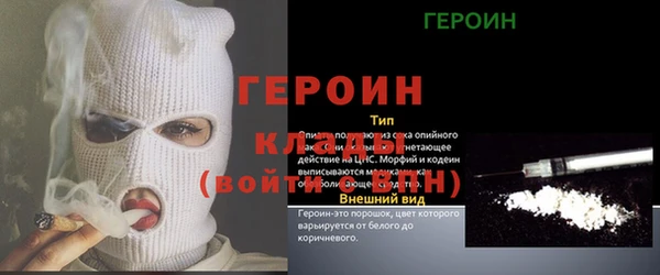 spice Дмитриев
