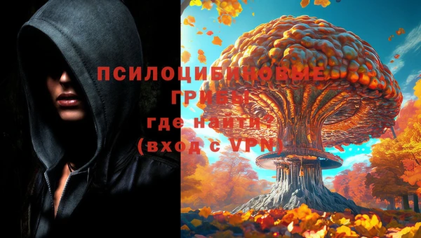 кокаин VHQ Гусев