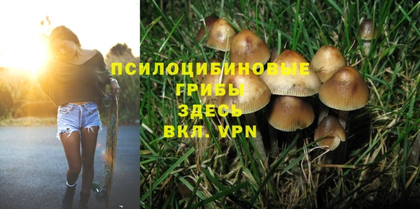 спайс Дмитров