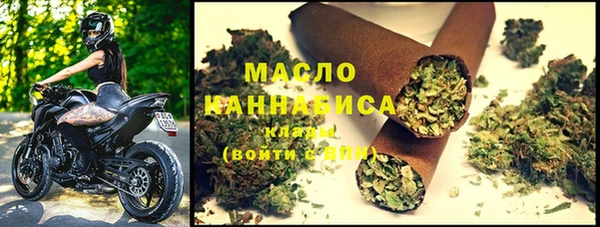 spice Дмитриев