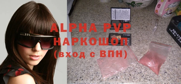 spice Дмитриев