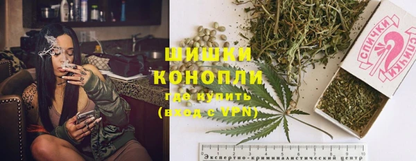 spice Дмитриев