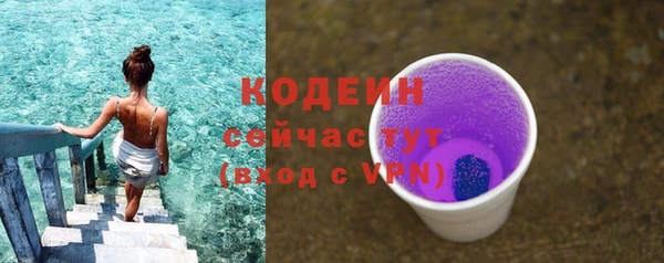 spice Дмитриев