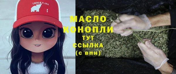 spice Дмитриев