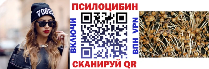 Псилоцибиновые грибы мицелий  Купить  Новоуральск 