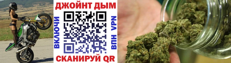 Купить где  Новоуральск  Каннабис семена 